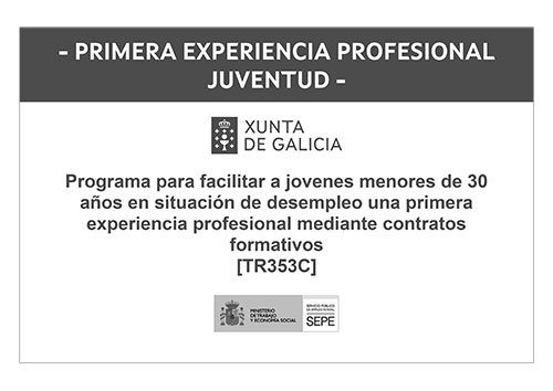 Primera experiencia profesional juventud Primera experiencia profesional juventud